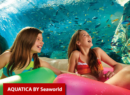 SeaWorld Parks (2 visitas + Uma grátis) + Plano de Alimentação para os 3 dias